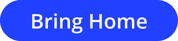 Bring Home