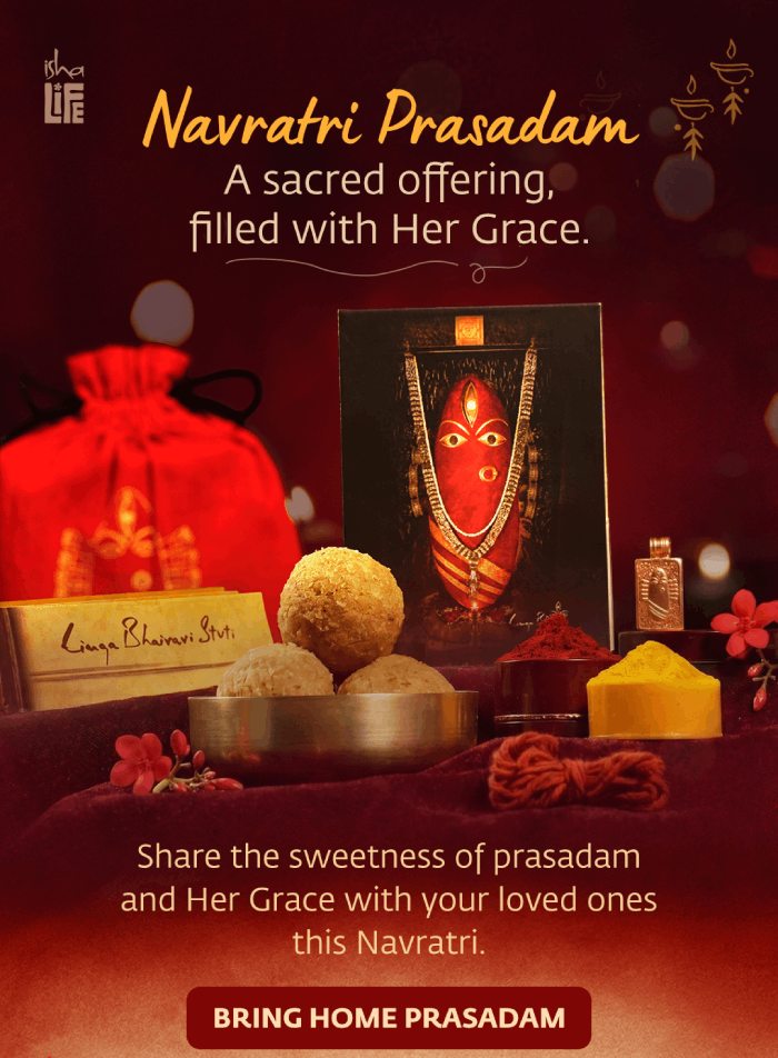 Navratri Prasadam: a sacred offering, filled with Her Grace. Share the sweetness of prasadam and Her Grace with your loved ones this Navratri. Bring home prasadam